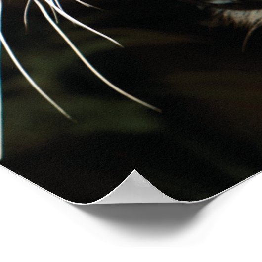 獣を放ち込む – タイガーやる気を起こさせる ポスター (角)