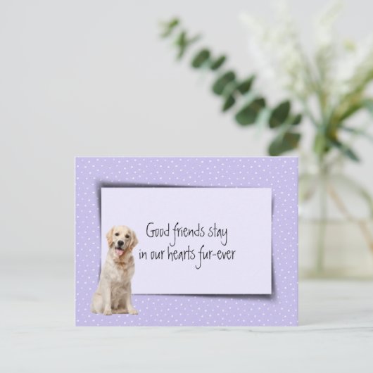 獣医からゴールデンレトリバーのペットロス ポストカード (スタンド正面)