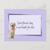獣医からゴールデンレトリバーのペットロス ポストカード (正面)