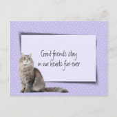 獣医さんからのグレー猫ペットロス ポストカード (正面)