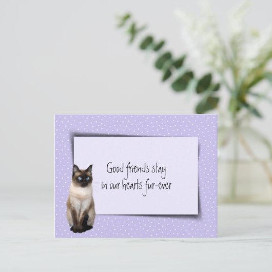 獣医さんからのシャム猫ペットの損失 ポストカード (スタンド正面)