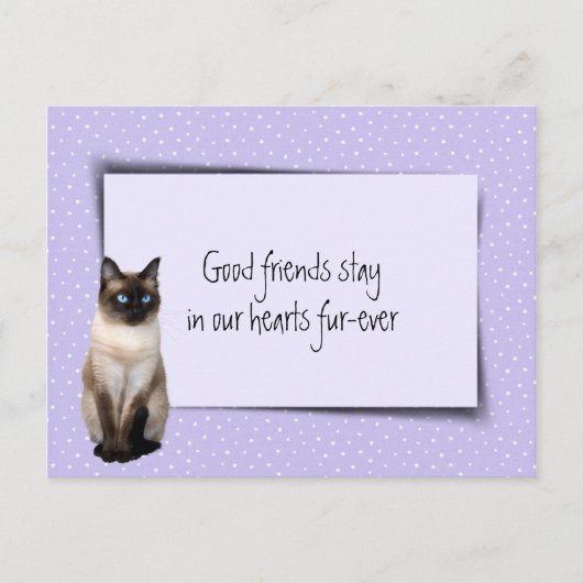 獣医さんからのシャム猫ペットの損失 ポストカード (正面)