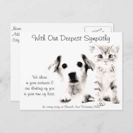 獣医さんのお見舞いカードPUPと子猫 ポストカード (正面/裏面)