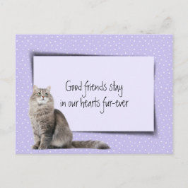 獣医による灰色の猫のペットロス ポストカード