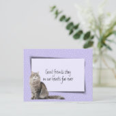 獣医による灰色猫のペットロス ポストカード (スタンド正面)