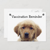 獣医の予防接種リマインダーパピーポストカード ポストカード (正面/裏面)