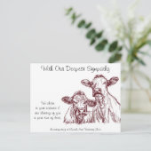 獣医の同情カード牛 ポストカード (スタンド正面)