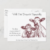 獣医の同情カード牛 ポストカード (正面/裏面)