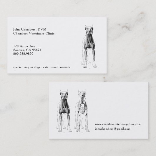 獣医の名刺 名刺 (正面/裏面)