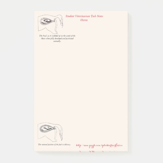 "獣医の技術のノート" ポストイット (正面)