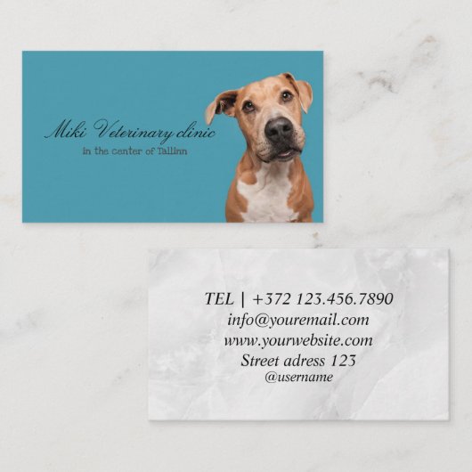 獣医の診療所の名刺 名刺 (正面/裏面)