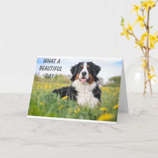 **獣医の誕生日** カード (黄色い花)