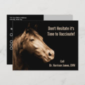 獣医の馬の予防接種リマインダー ポストカード (正面/裏面)