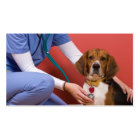 獣医を診てもらうかわいいビーグル犬