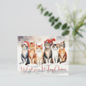 獣医クリニックのお水カラーのクリスマス猫 シーズンポストカード (スタンド正面)