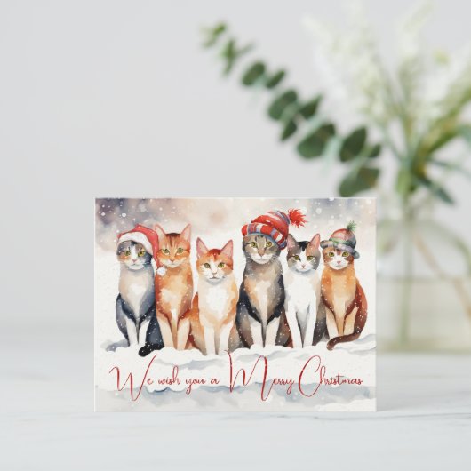 獣医クリニックのお水カラーのクリスマス猫 シーズンポストカード (スタンド正面)