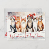 獣医クリニックのお水カラーのクリスマス猫 シーズンポストカード (正面/裏面)