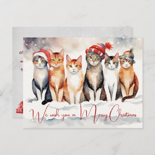 獣医クリニックのお水カラーのクリスマス猫 シーズンポストカード (正面/裏面)