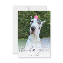 獣医パーソナライズされたペットケアペット写真