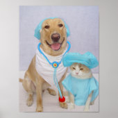 獣医ポスター ポスター (正面)