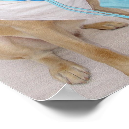 獣医ポスター ポスター (角)