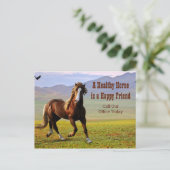 獣医ポストカの馬アポイントメントリマインダー ポストカード (スタンド正面)