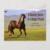 獣医ポストカの馬アポイントメントリマインダー ポストカード (正面)