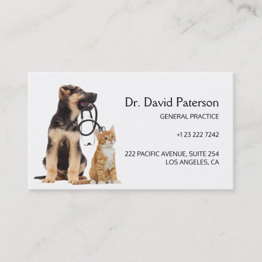 獣医モダン院 名刺 (正面)