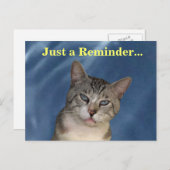獣医リマインダーのタフな猫はがき ポストカード (正面/裏面)