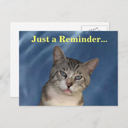 獣医リマインダーのタフな猫はがき ポストカード (正面/裏面)