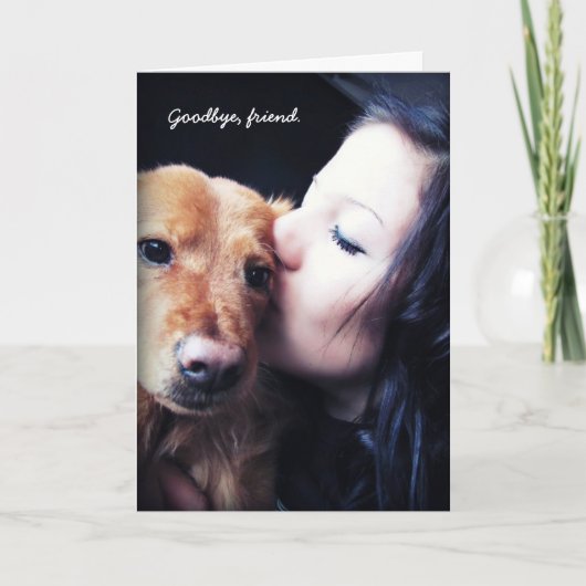 獣医レインボーブリッジのペットをありがとう。 サンキューカード (正面)