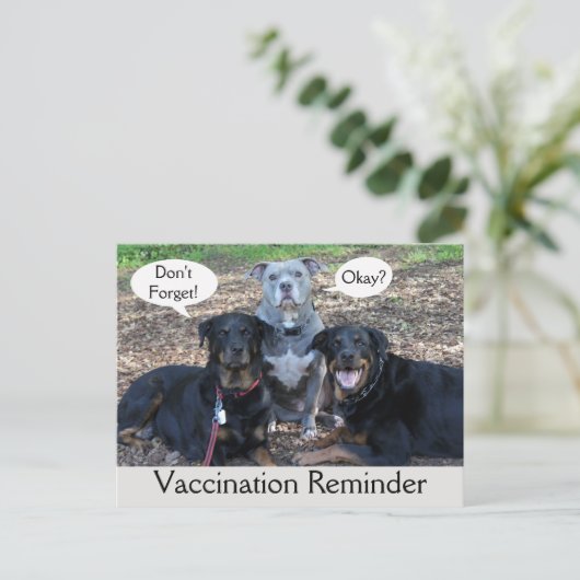獣医ワクチン接種ドギー家族はがき ポストカード (スタンド正面)