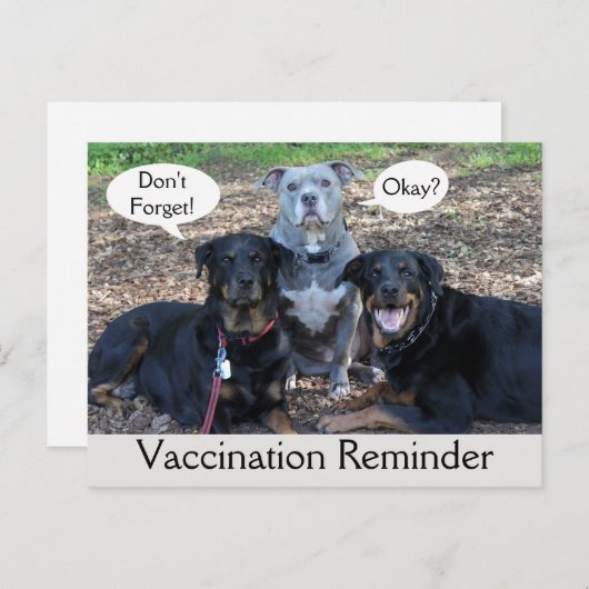 獣医ワクチン接種ドギー家族はがき ポストカード (正面/裏面)