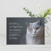 獣医卒業お祝いパーティー カジュアル 招待状 (スタンド正面)