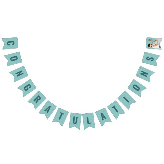 獣医学生 DVM 卒業おめでとう バンティングフラッグ (全)