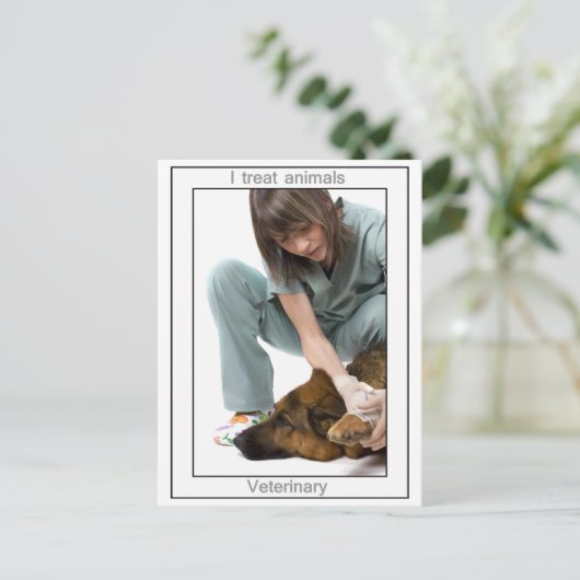 獣医学 ポストカード (スタンド正面)