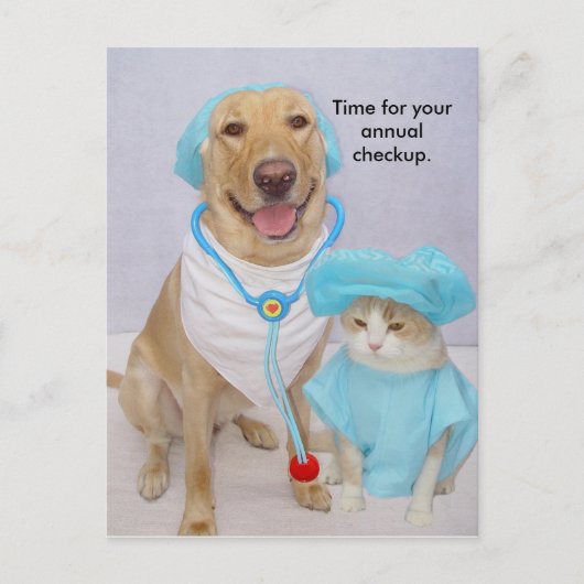 獣医師による健康診断の事前通知 ポストカード (正面)