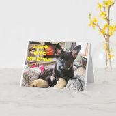 **獣医最高の院エバ**ハッピーバースデー カード (黄色い花)