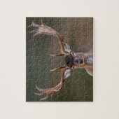 獣鹿があなたを裁いている ジグソーパズル (縦)