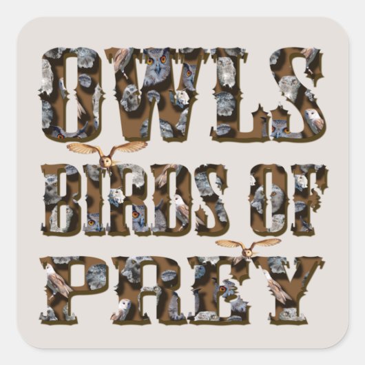 獲物の鳥を捕らえる スクエアシール (正面)