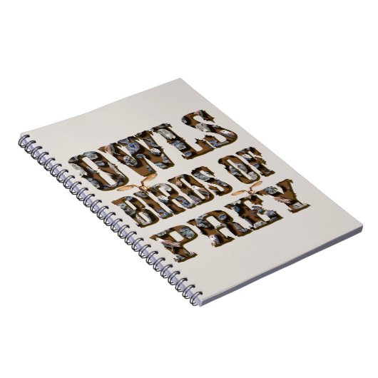 獲物の鳥を捕らえる ノートブック (右側)