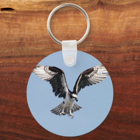 獲物を探しているオスプレイの美しい鳥 キーホルダー (正面)