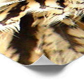 獲物を狙う ポスター (角)