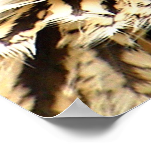 獲物を狙う ポスター (角)