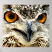 獲物を狙う ポスター (正面)