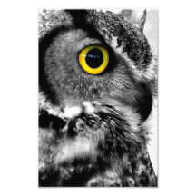 獲物素晴らしの角のフクロウ鳥