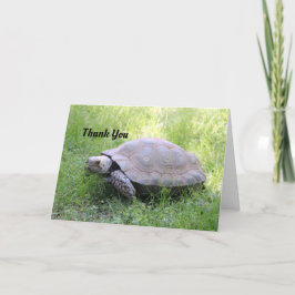 玄亀のサンキューカード サンキューカード