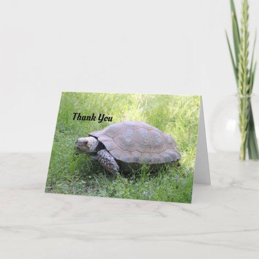 玄亀のサンキューカード サンキューカード (正面)