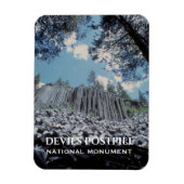 玄武岩の柱、デビルズ後杭国家記念碑 マグネット (縦)