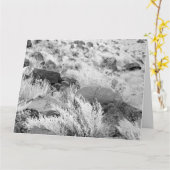玄武岩溶岩は南西白黒写真を揺すります カード (黄色い花)